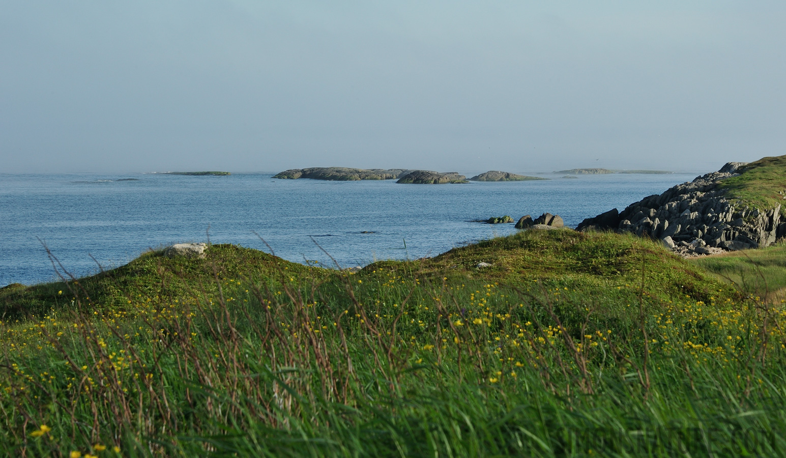 Küste westlich von Port aux Basques [125 mm, 1/200 Sek. bei f / 16, ISO 400]